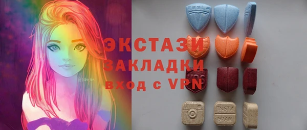 индика Магас
