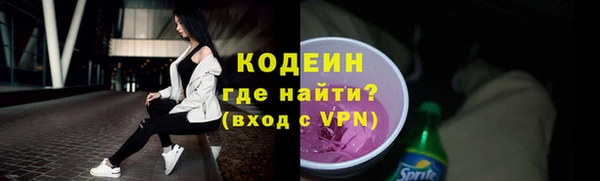 индика Магас