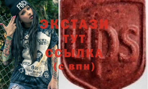 индика Магас