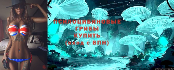 индика Магас