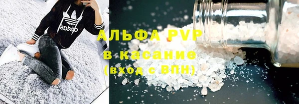 индика Магас