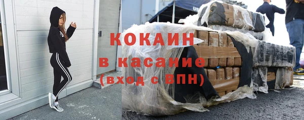 индика Магас