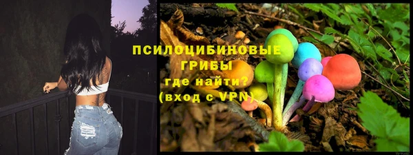 индика Магас