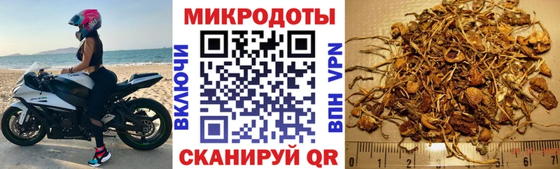 Псилоцибиновые грибы прущие грибы  Феодосия 
