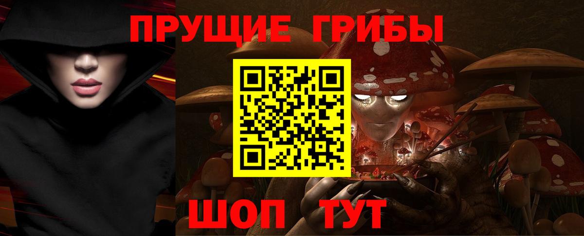 Галлюциногенные грибы Cubensis  Вход с VPN  хочу   Феодосия  Галлюциногенные грибы прущие грибы 